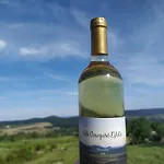 Kali Vineyard Estate *