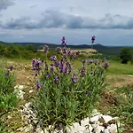 ヴィラ Kali Vineyard Estate